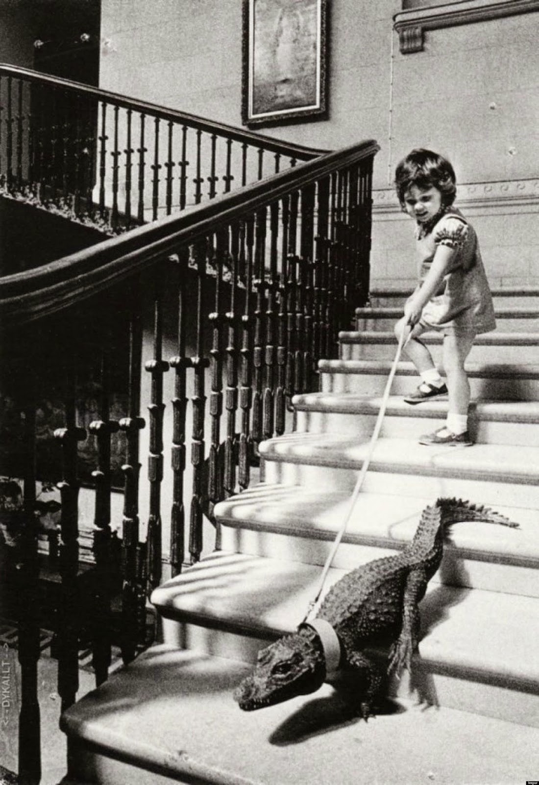 Weekend Writing Challenge #30; Foto: John Drysdale