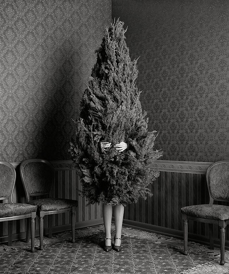 Foto: Geof Kern