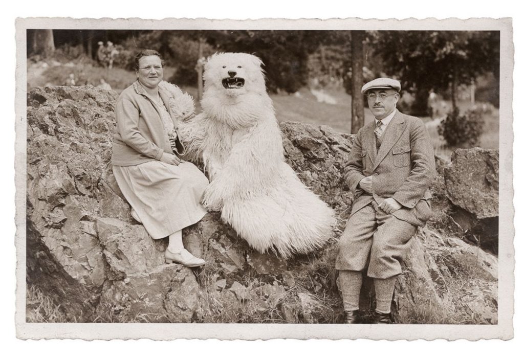 Gruppendbild mit Eisbär